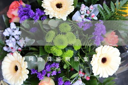 网商贷逾期报案了 网商贷逾期报案了