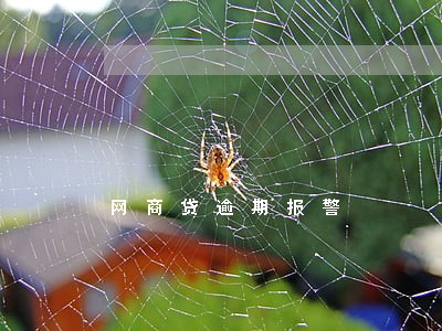 网商贷逾期报警