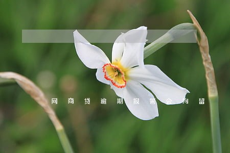 网商贷逾期报警会拘留 网商贷逾期报警会拘留