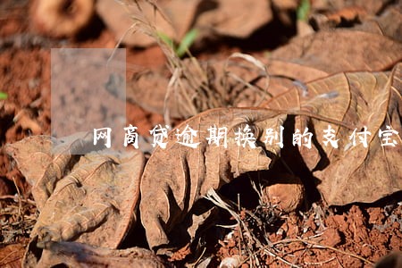 网商贷逾期换别的支付宝用