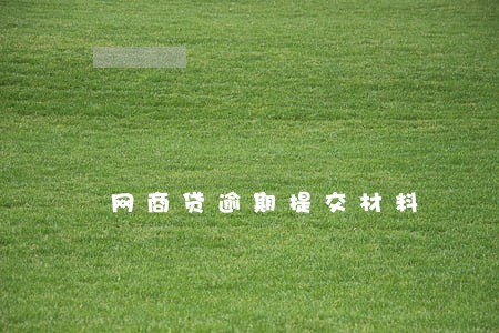 网商贷逾期提交材料 网商贷逾期提交材料