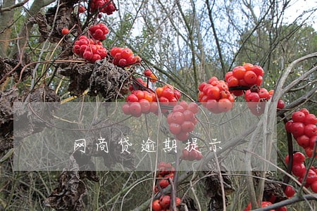网商贷逾期提示 网商贷逾期提示