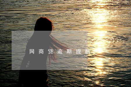 网商贷逾期提醒