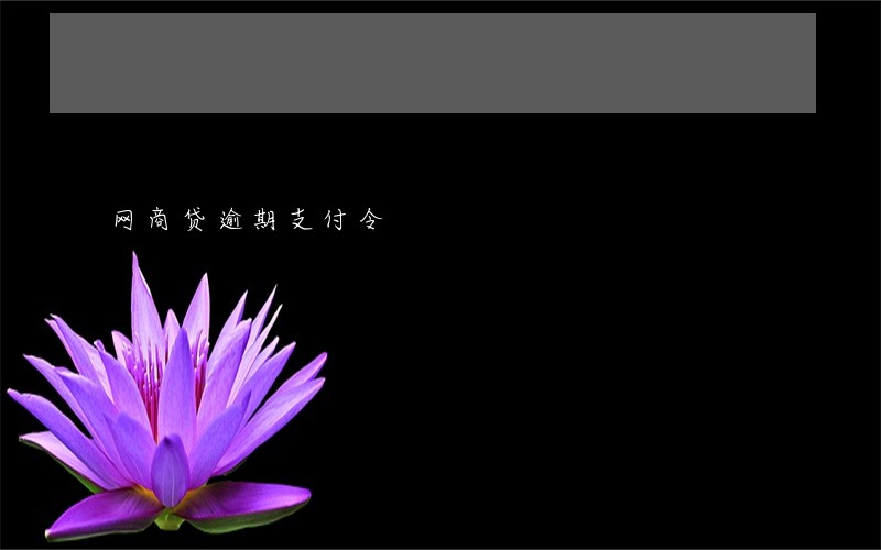 网商贷逾期支付令 网商贷逾期支付令