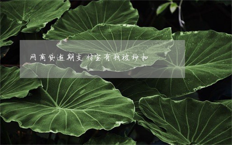 网商贷逾期支付宝有钱被秒扣 网商贷逾期支付宝有钱被秒扣