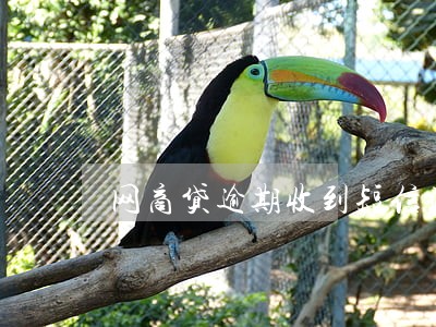 网商贷逾期收到短信说开庭 网商贷逾期收到短信说开庭