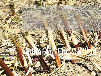 网商贷逾期收货地址 网商贷逾期收货地址