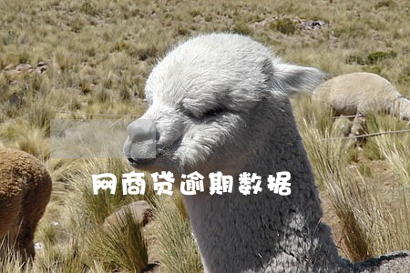 网商贷逾期数据 网商贷逾期数据