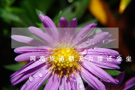 网商贷逾期无力偿还会坐牢吗 网商贷逾期无力偿还会坐牢吗