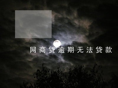 网商贷逾期无法贷款 网商贷逾期无法贷款