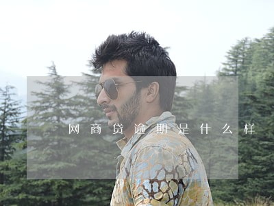 网商贷逾期是什么样 网商贷逾期是什么样