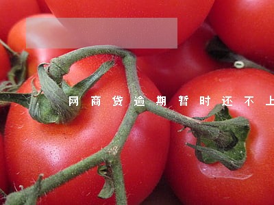 网商贷逾期暂时还不上 网商贷逾期暂时还不上