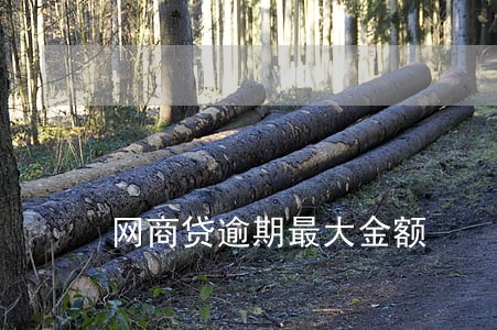 网商贷逾期最大金额 网商贷逾期最大金额
