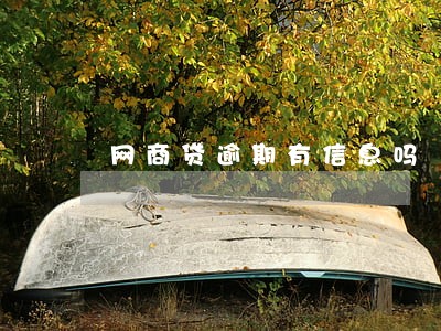 网商贷逾期有信息吗 网商贷逾期有信息吗