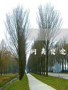 网商贷逾期有协商只还本金的吗 网商贷逾期有协商只还本金的吗