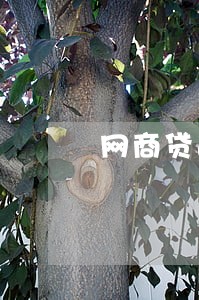 网商贷逾期有宽容期吗 网商贷逾期有宽容期吗