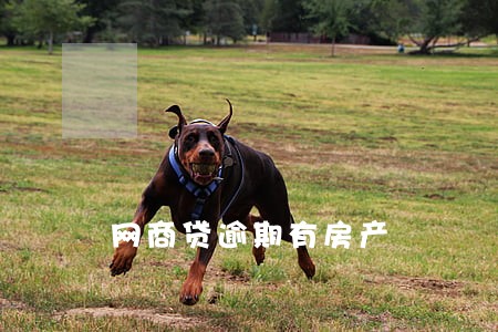 网商贷逾期有房产 网商贷逾期有房产