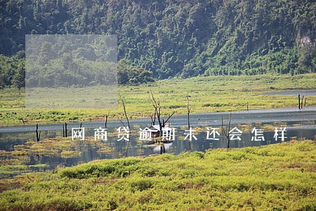 网商贷逾期未还会怎样 网商贷逾期未还会怎样