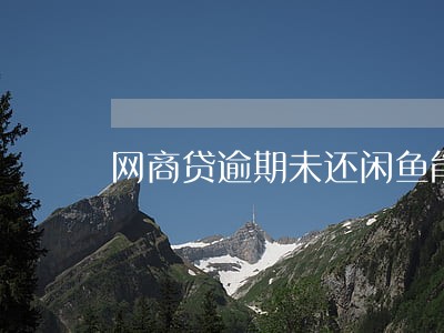 网商贷逾期未还闲鱼能用吗 网商贷逾期未还闲鱼能用吗