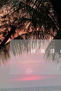 网商贷逾期来电问用途 网商贷逾期来电问用途