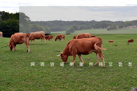 网商贷逾期案件移交会怎样 网商贷逾期案件移交会怎样