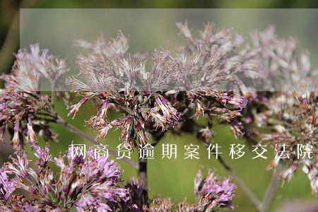 网商贷逾期案件移交法院 网商贷逾期案件移交法院