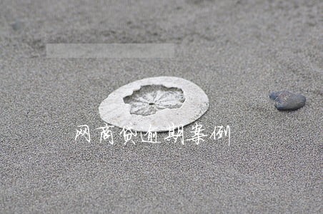 网商贷逾期案例 网商贷逾期案例