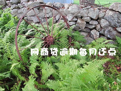 网商贷逾期每月还点 网商贷逾期每月还点