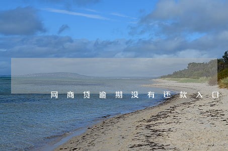 网商贷逾期没有还款入口 网商贷逾期没有还款入口