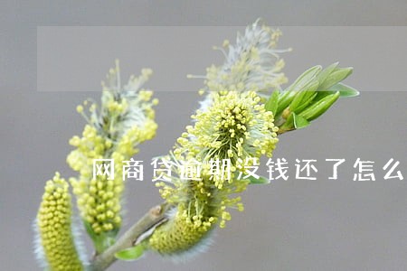 网商贷逾期没钱还了怎么办 网商贷逾期没钱还了怎么办