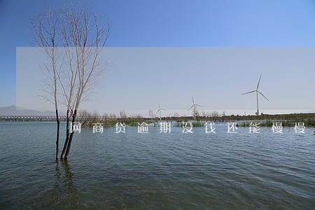 网商贷逾期没钱还能慢慢还吗 网商贷逾期没钱还能慢慢还吗