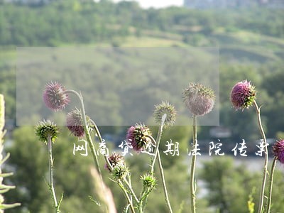 网商贷逾期法院传票 网商贷逾期法院传票
