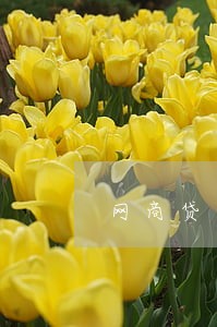 网商贷逾期法院拍卖了房产 网商贷逾期法院拍卖了房产