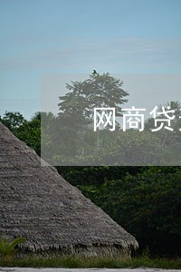 网商贷逾期消失