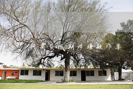 网商贷逾期涉嫌欺诈案 网商贷逾期涉嫌欺诈案