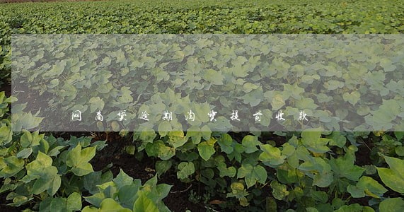 网商贷逾期淘宝提前收款 网商贷逾期淘宝提前收款