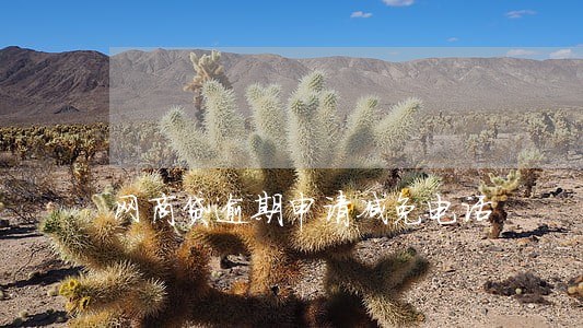 网商贷逾期申请减免电话 网商贷逾期申请减免电话