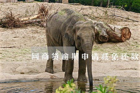 网商贷逾期申请减免还款到哪里 网商贷逾期申请减免还款到哪里