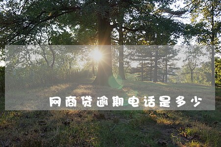 网商贷逾期电话是多少 网商贷逾期电话是多少