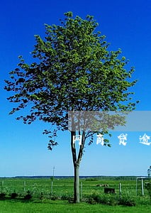 网商贷逾期界面是什么样的图片 网商贷逾期界面是什么样的图片