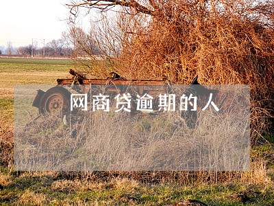 网商贷逾期的人
