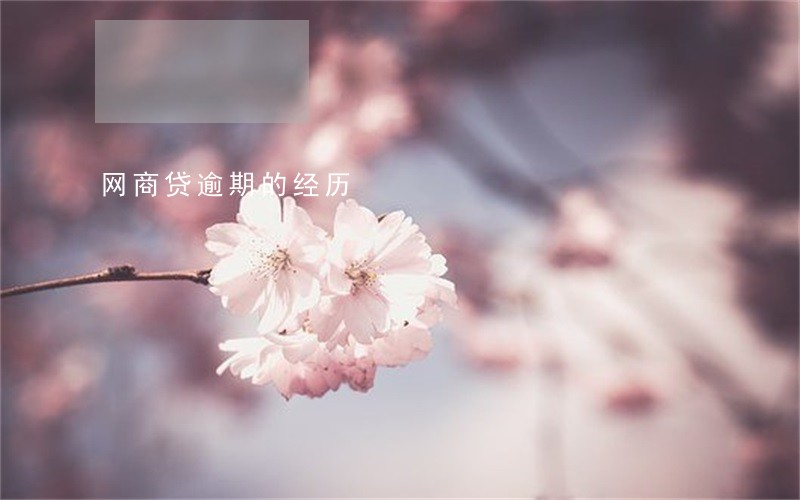网商贷逾期的经历 网商贷逾期的经历