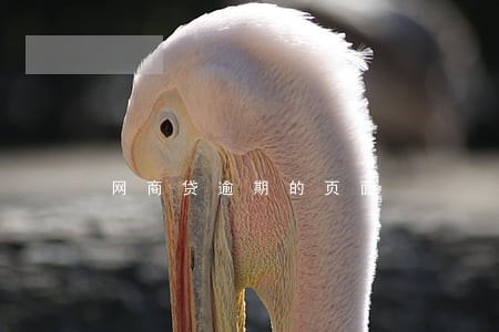 网商贷逾期的页面 网商贷逾期的页面