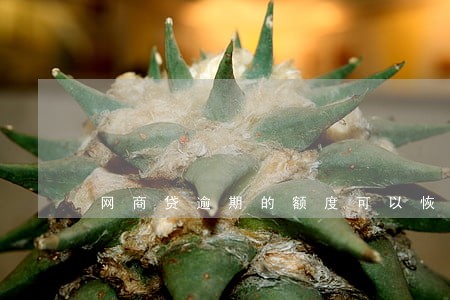 网商贷逾期的额度可以恢复吗 网商贷逾期的额度可以恢复吗