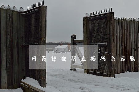 网商贷逾期直接联系客服 网商贷逾期直接联系客服