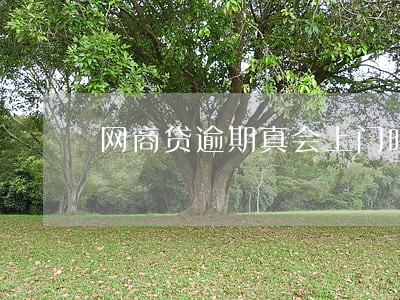 网商贷逾期真会上门吗 网商贷逾期真会上门吗