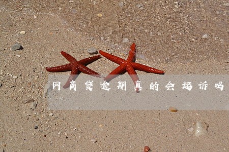 网商贷逾期真的会起诉吗 网商贷逾期真的会起诉吗