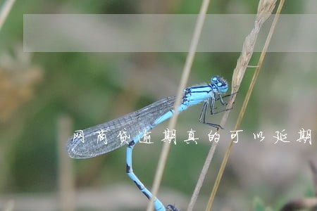 网商贷逾期真的可以延期2年吗 网商贷逾期真的可以延期2年吗