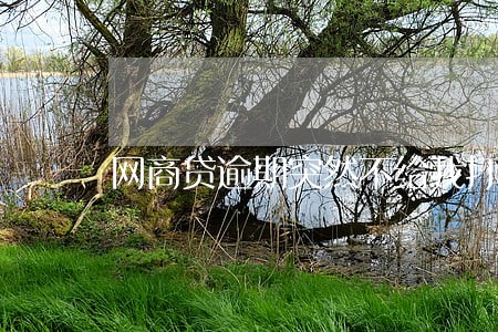 网商贷逾期突然不给我打电话了 网商贷逾期突然不给我打电话了