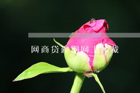 网商贷逾期网上仲裁 网商贷逾期网上仲裁